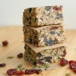Homemade Fuel to Go Protein Bars