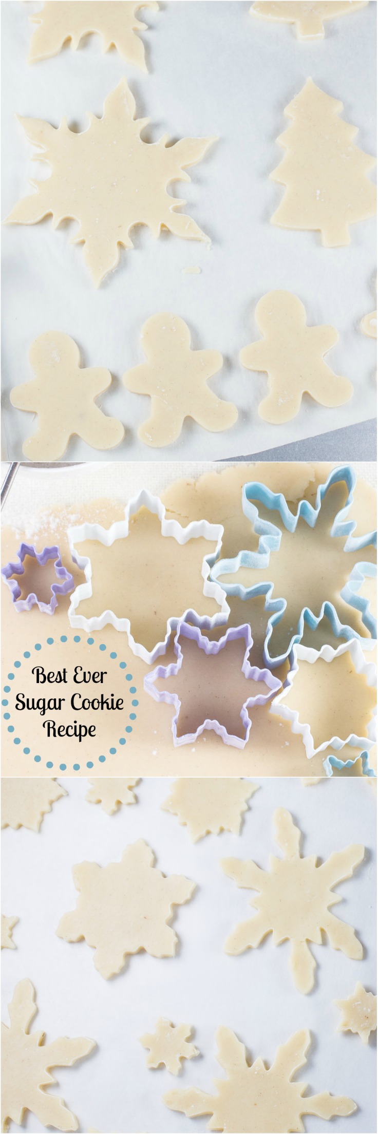 Best Ever Sugar Cookie Recipe