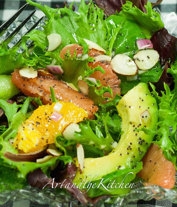avocado citrus salad