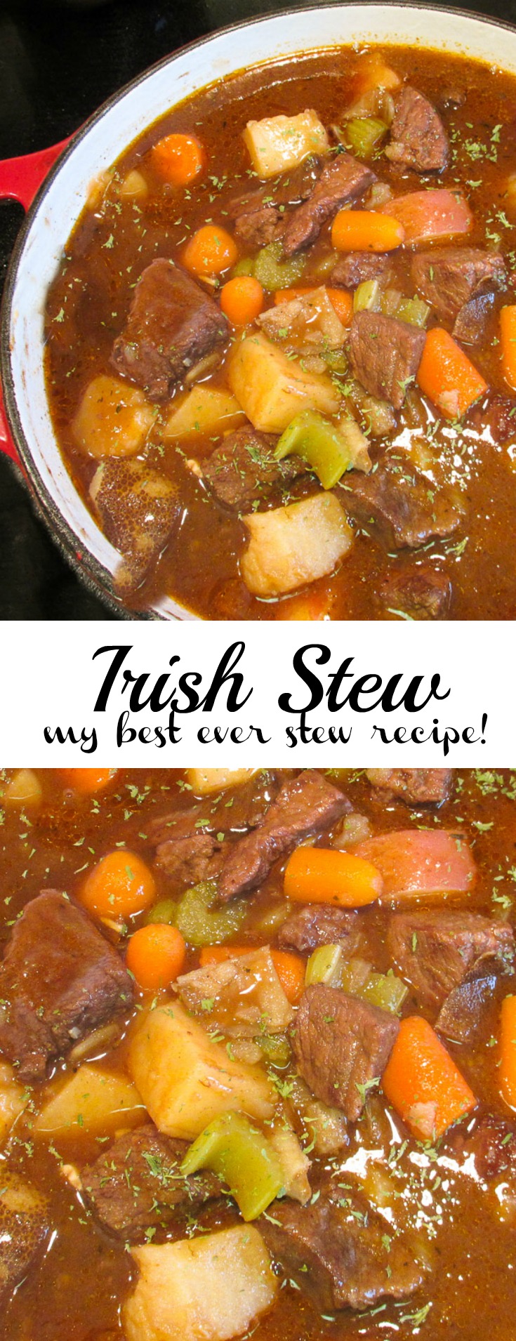Pot of Irish beef stew with carrots, potatoes, celery in brown gravy.