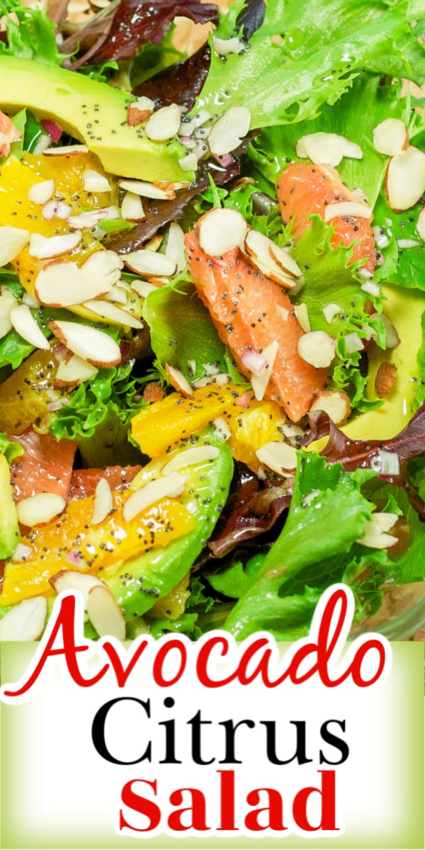 Avocado Citrus Salad is a light, refreshing salad with creamy avocado, tangy grapefruit and oranges tossed in a homemade poppyseed dressing. via @artandthekitch