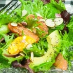 A bowl of fresh salad greens with avocado, grapefruit, and oranges. Sprinkled with almond slivers and poppyseed dressing.