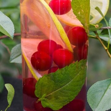 Tall glass filled with water, sour cherries and lemon slices.