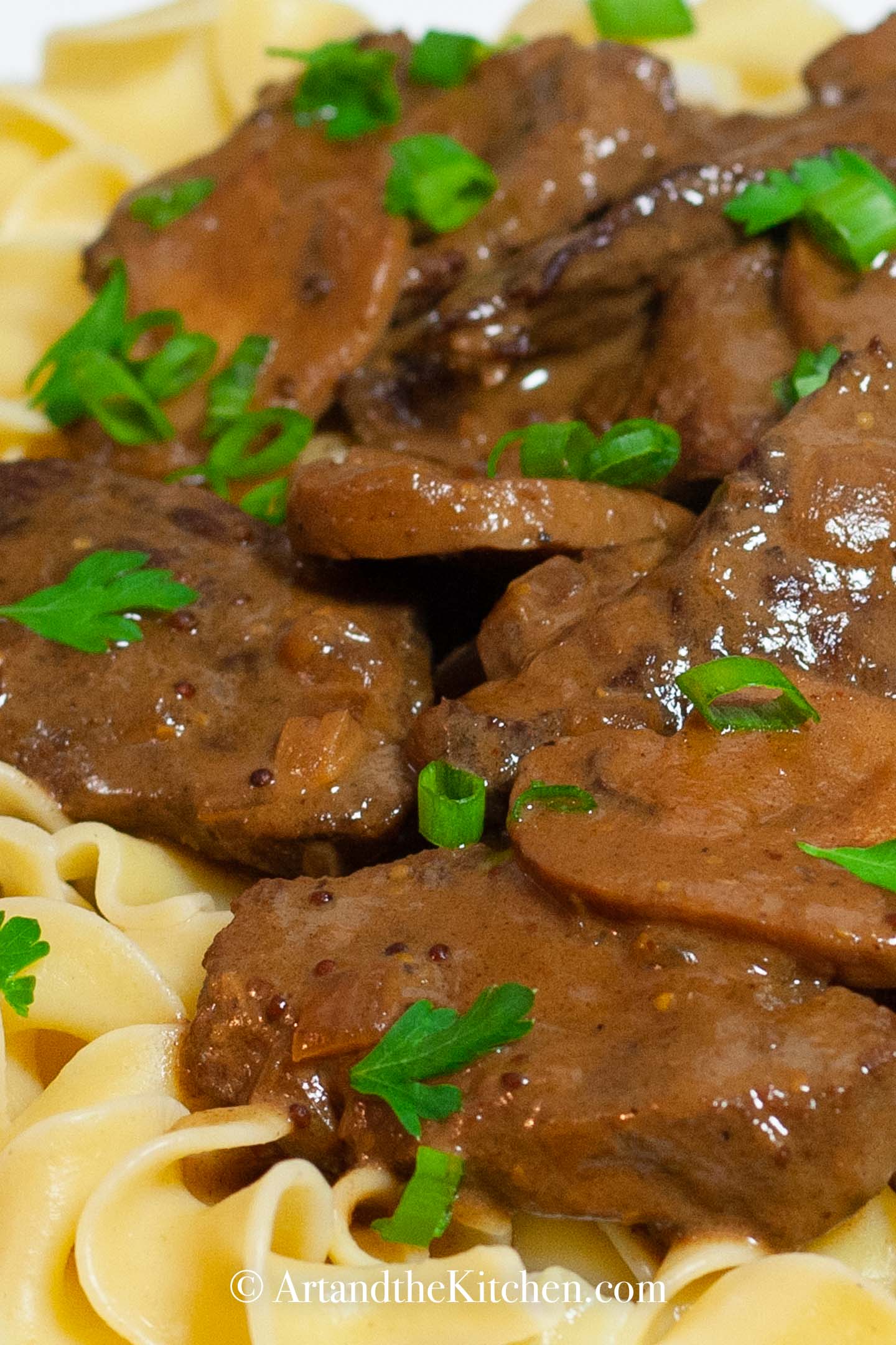 Beef stroganoff on bed of broad noodles, garnished with green onions.