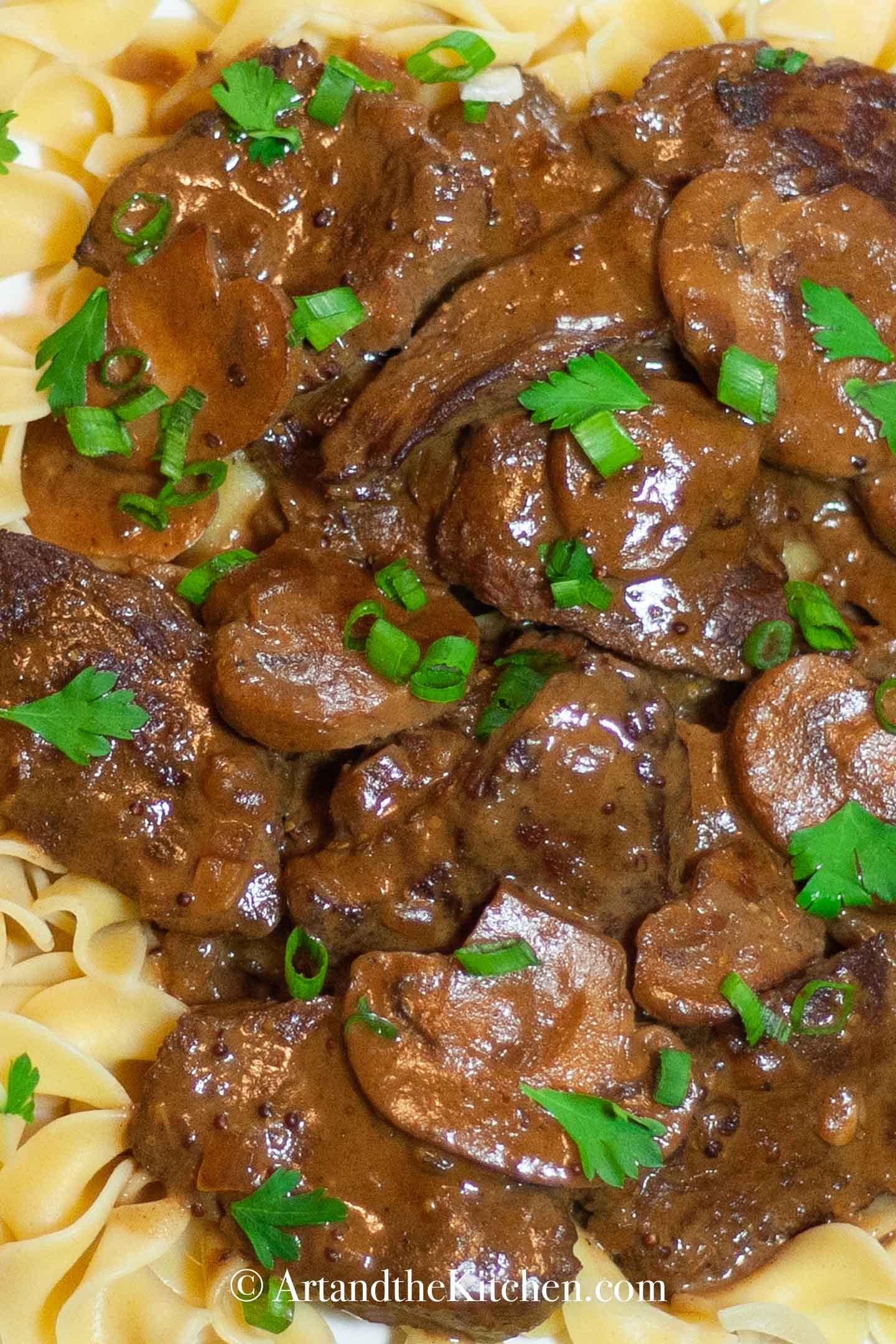 Beef stroganoff on bed of broad noodles, garnished with green onions.