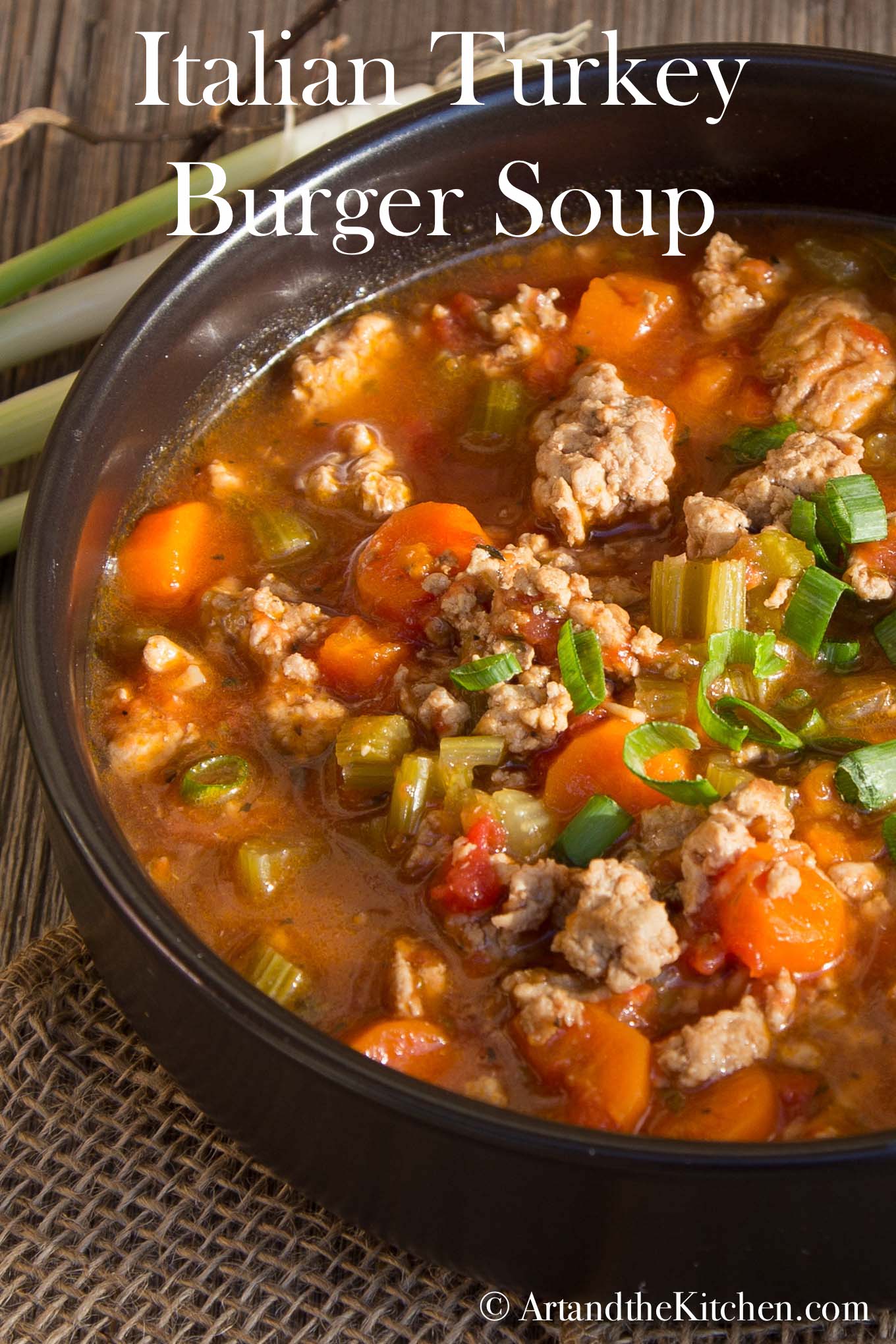 Soup with chunks of ground turkey, carrots simmered in a tomato based broth. Served in a black bowl and garnished with green onion slices.