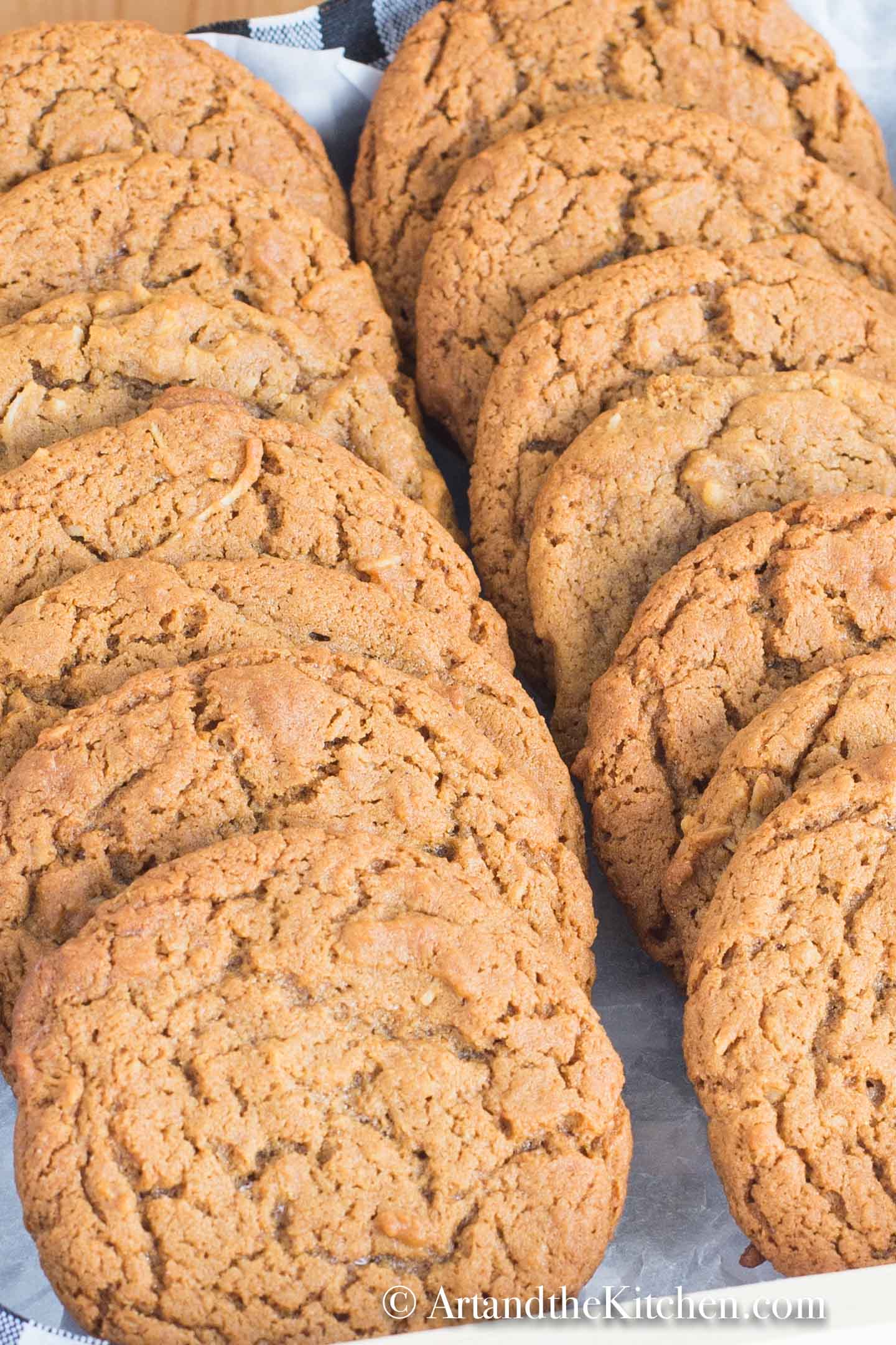 Box filled with rows of molasses cookies.