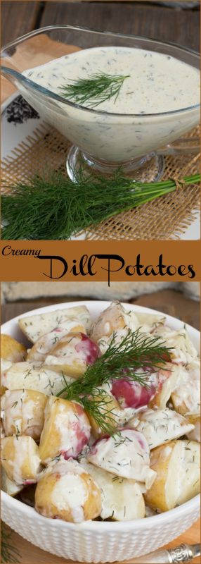 Potatoes covered in a creamy dill sauce in a white bowl.