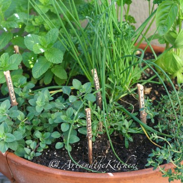 grow your own herb garden