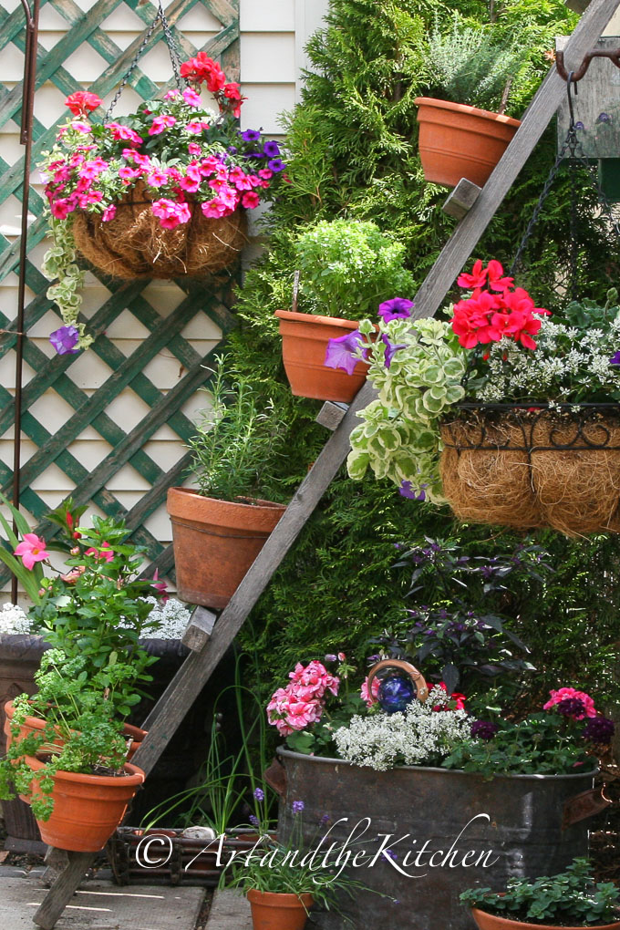 Grow Your Own Herb Garden Art And The Kitchen Grow Your Own Herb Garden