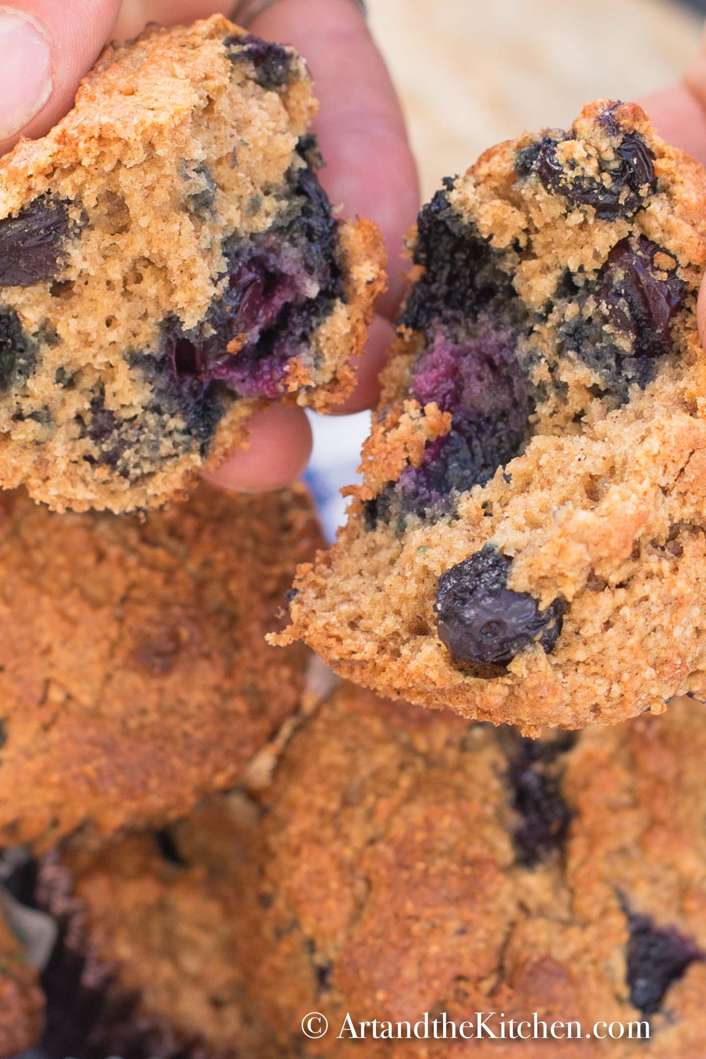 Stack of blueberry bran muffins pulling apart one muffin to show inside.