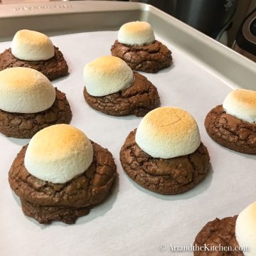 Chocolate cookies with toasted marshmallow on top.