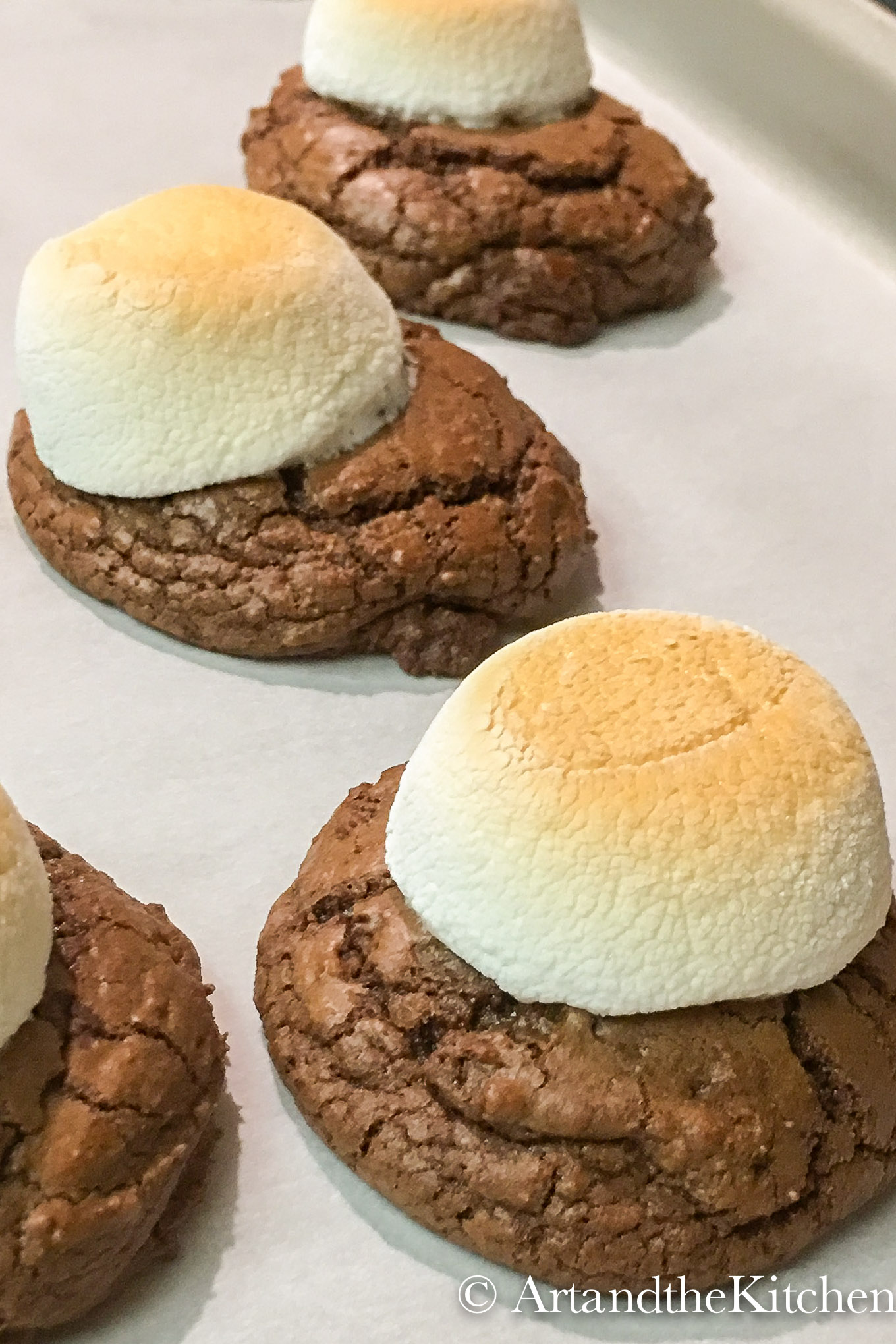 Chocolate cookies with toasted marshmallow on top.