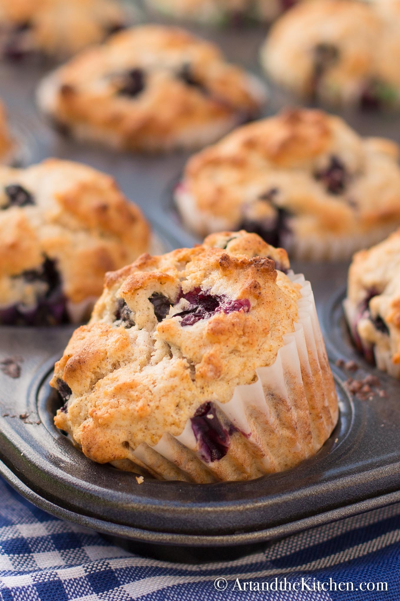 Blueberry Muffins