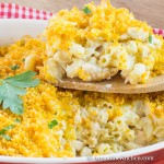 Macaroni casserole with cubes of chicken, golden brown panko bread crumb topping. Served in red stoneware baking dish. Close up scoop of casserole on wooden spoon.