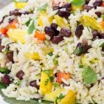 Colorful salad with coconut rice, black bean, pineapple, red peppers, onion, and cilantro on a green plate.