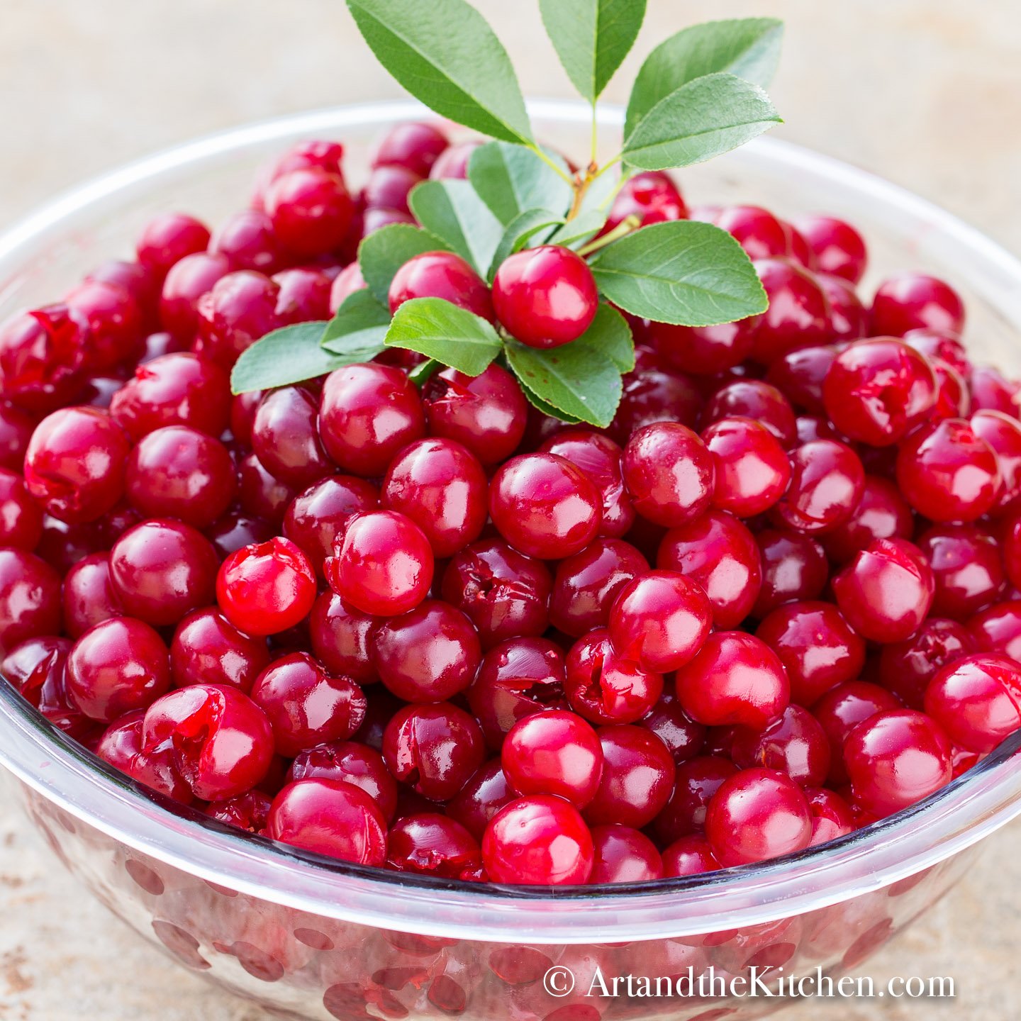 White bowl filled with pitted cherries, garnished with cherry tree sprig.