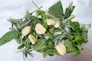 Fresh herbs and garlic on aluminum foil.