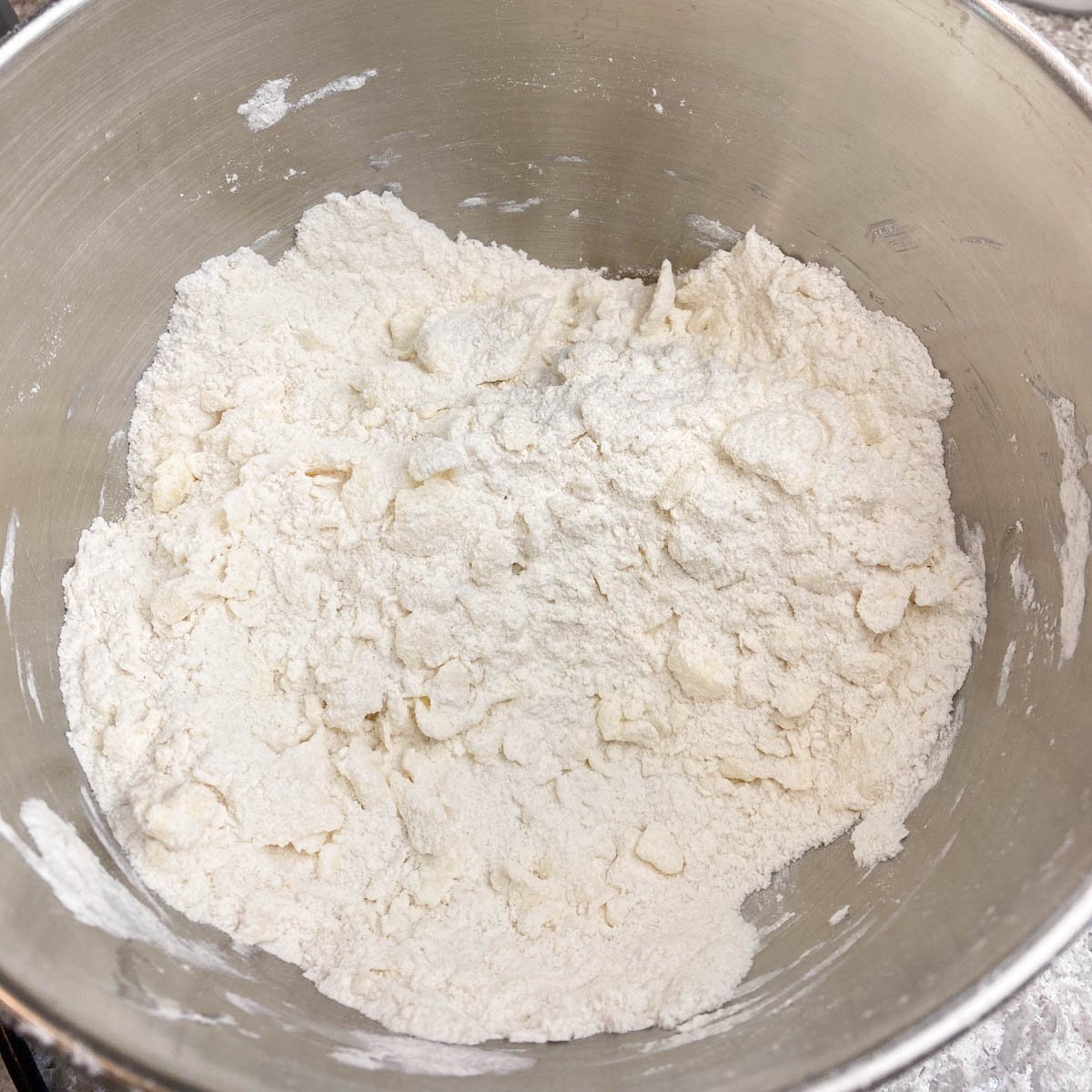 Dry flour ingredients blended with butter in large stainless steel mixing bowl.