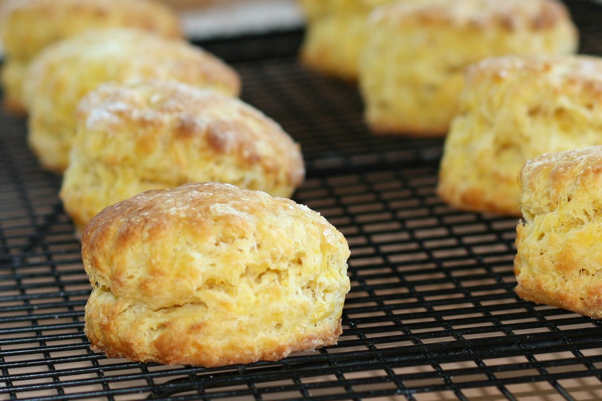Baking rack of golden brown butternut squash scones.