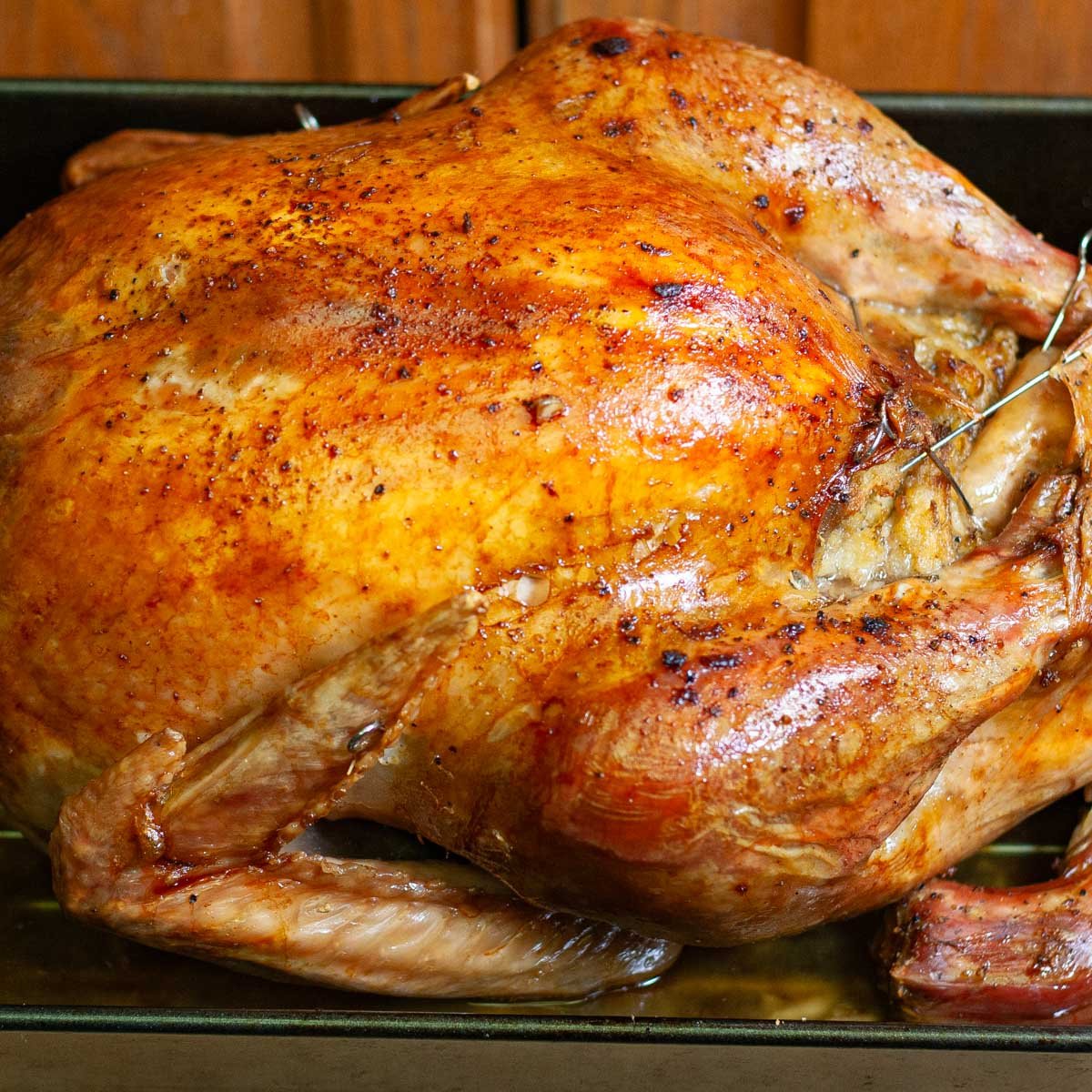 Whole roasted turkey  in pan.