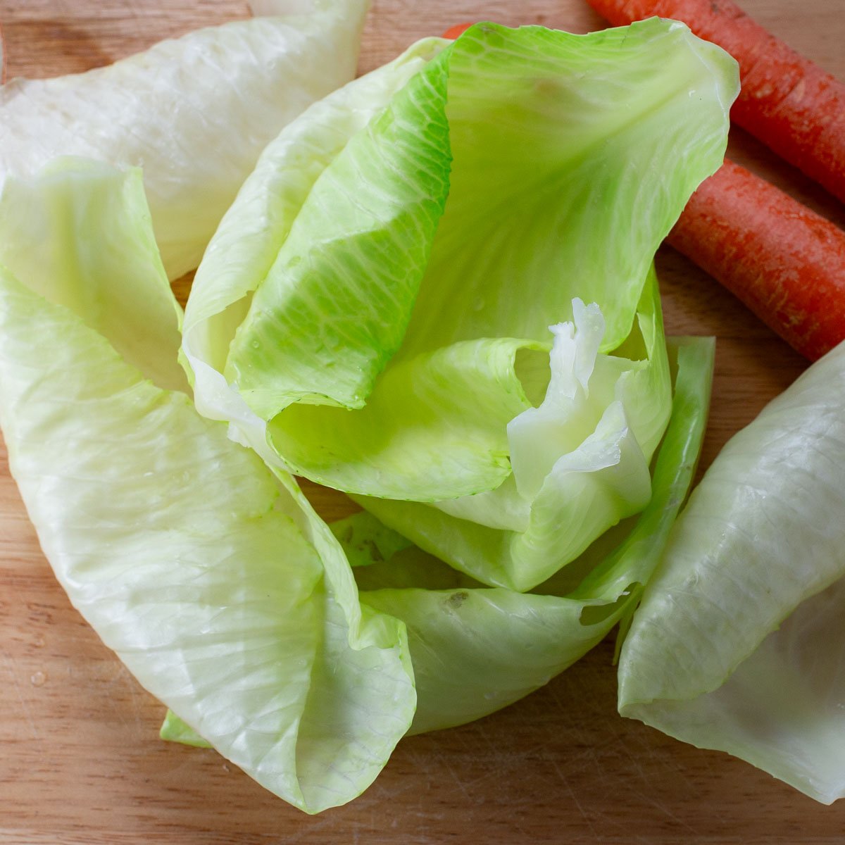 Boiled cabbage leaves and raw carrots.
