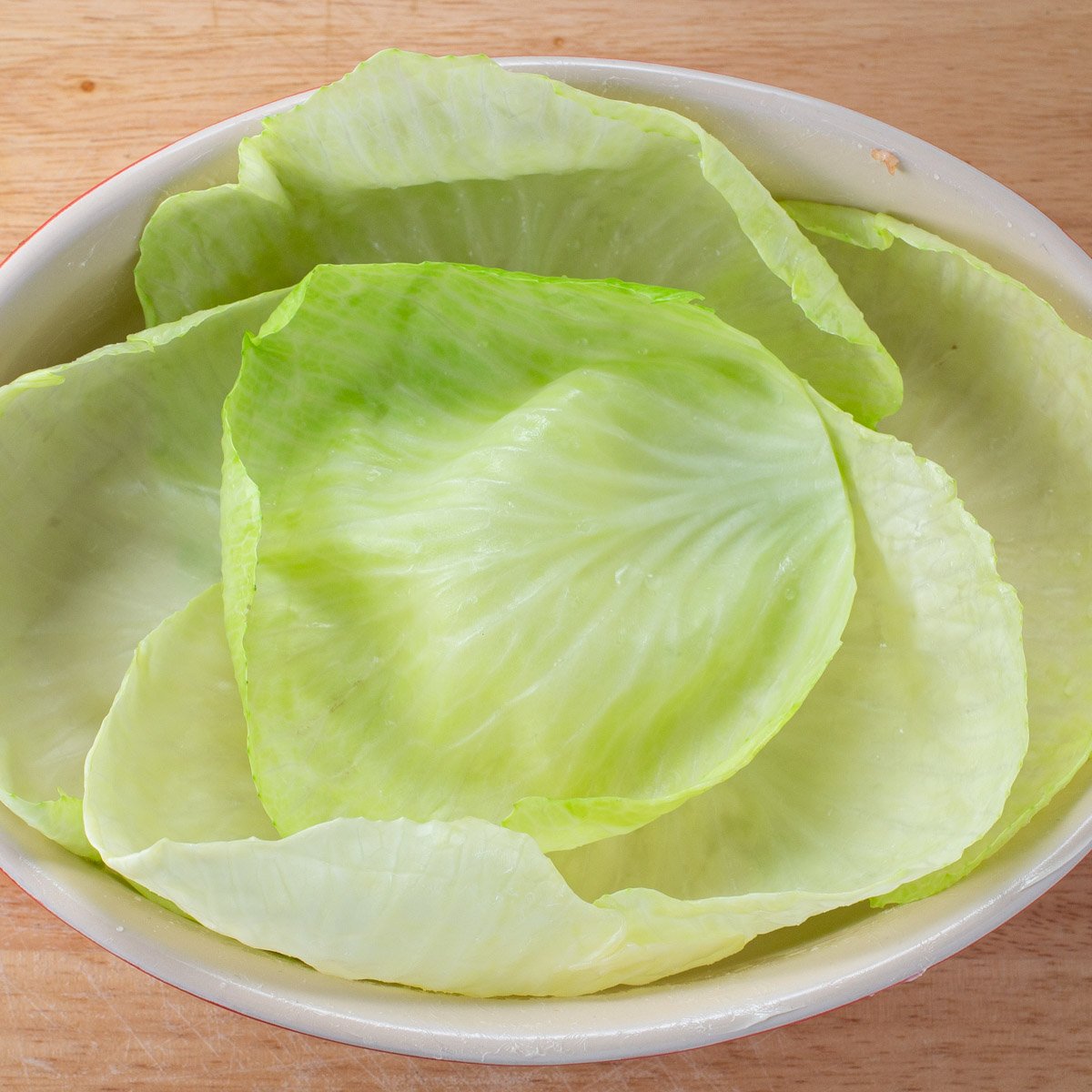 Boiled cabbage leaves in baking dish.