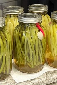 Jars of spicy pickled beans with sprig of dill, garlic clove and chili pepper.