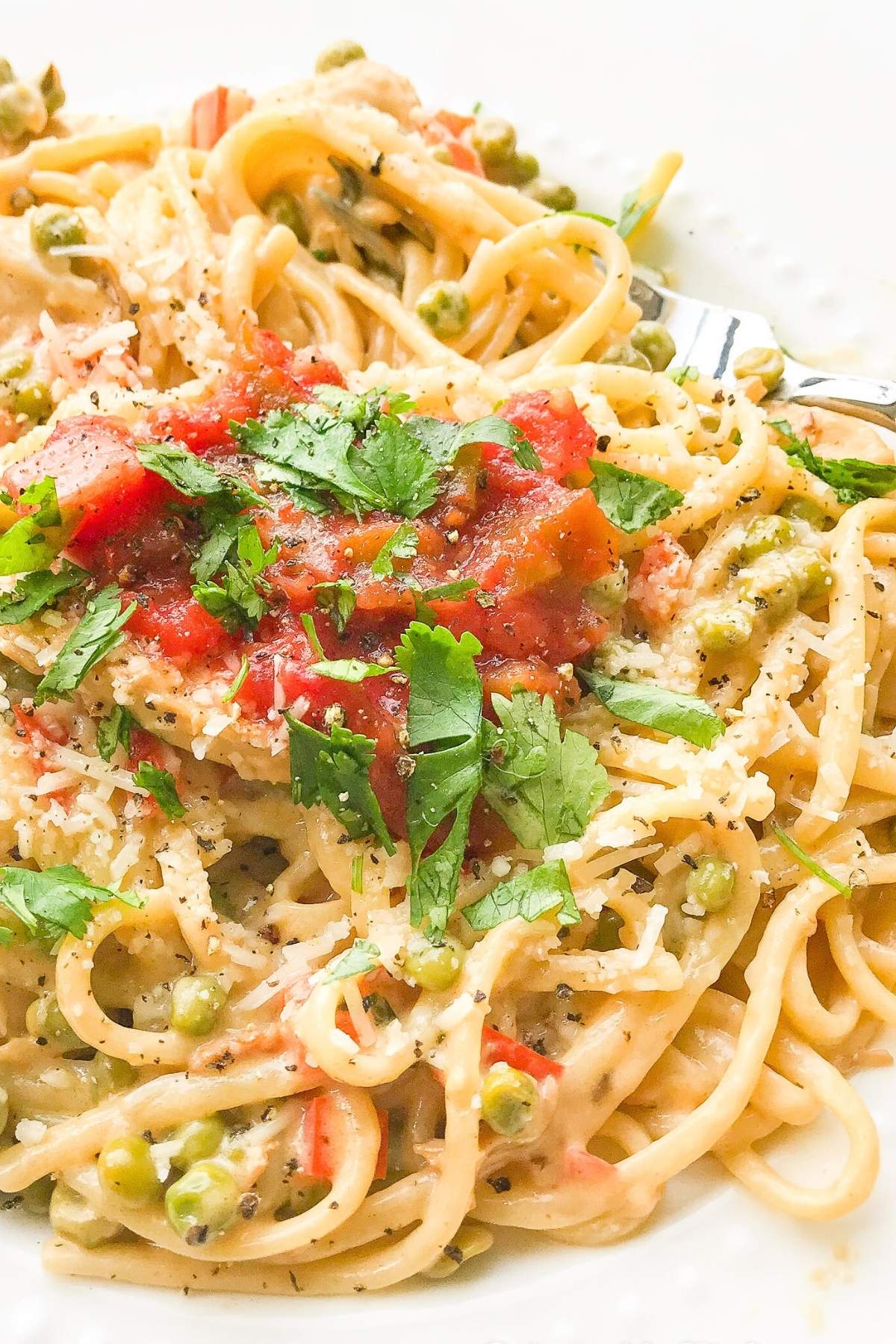 Plate of linguine tossed with Alfredo sauce topped with salsa and cilantro.