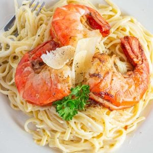 A plate of creamy linguine topped with three large grilled shrimp, garnished with parsley and shaved Parmesan cheese.