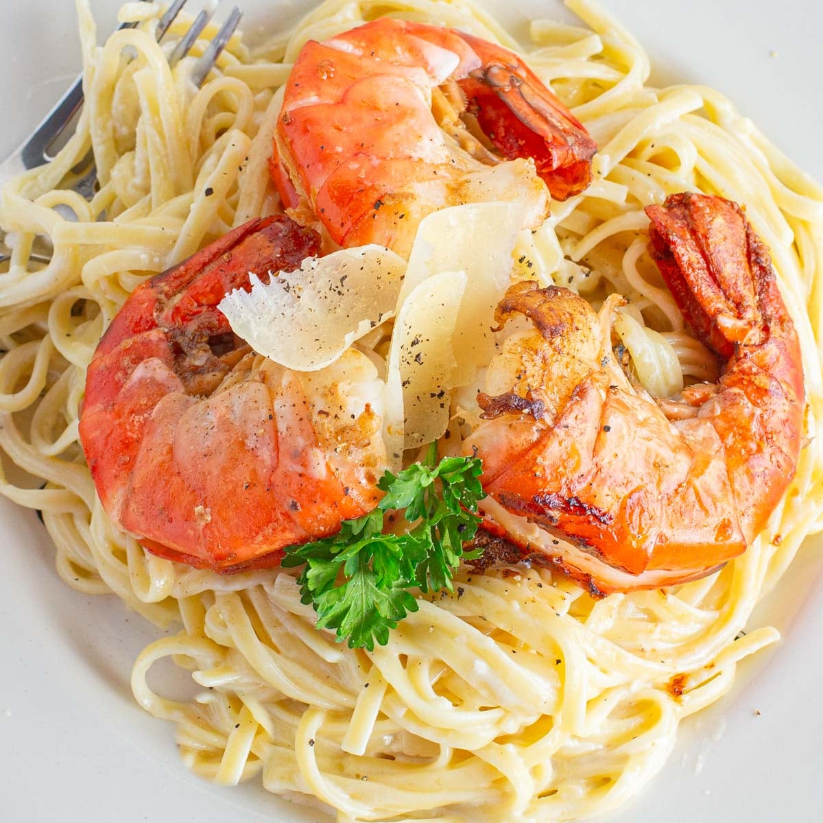 A plate of creamy linguine topped with three large grilled shrimp, garnished with parsley and shaved Parmesan cheese.